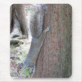 Tapis De Souris Squirel Souris (Devant)
