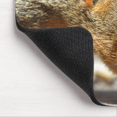 Tapis De Souris Squirrel Closeuse Manger (Coin)