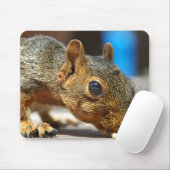 Tapis De Souris Squirrel Closeuse Manger (Avec souris)