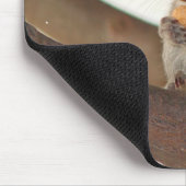 Tapis De Souris squirrelfriend (Coin)