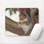Tapis De Souris squirrelfriend (Avec souris)