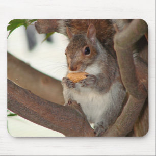 Tapis De Souris squirrelfriend