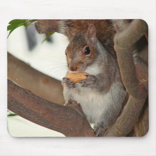Tapis De Souris squirrelfriend (Devant)