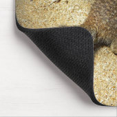 Tapis De Souris Squirrell (Coin)