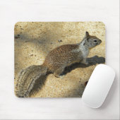 Tapis De Souris Squirrell (Avec souris)