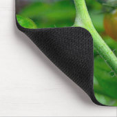 Tapis De Souris Stades de maturation des tomates cerises (Coin)