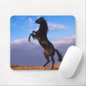 Tapis De Souris Stallion noir (Avec souris)