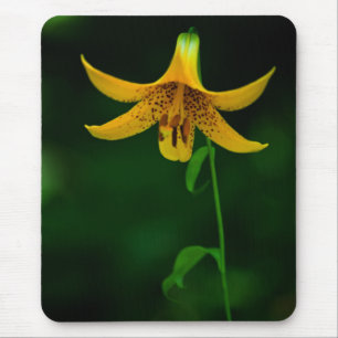 Tapis De Souris Star Pose Mousepad