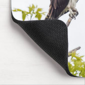 Tapis De Souris Staring Osprey (Coin)