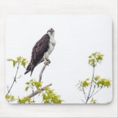 Tapis De Souris Staring Osprey (Devant)