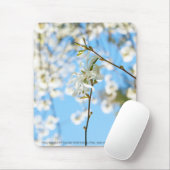 Tapis De Souris Starry Magnolia 6490 (Avec souris)
