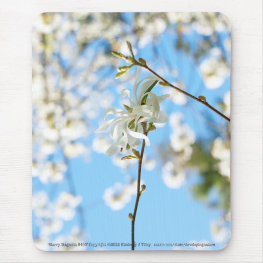 Tapis De Souris Starry Magnolia 6490 (Devant)