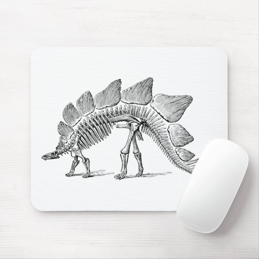 Tapis De Souris Stegosaurus Dinosaure Squelette Fossile (Avec souris)