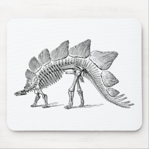Tapis De Souris Stegosaurus Dinosaure Squelette Fossile