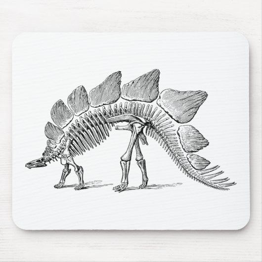 Tapis De Souris Stegosaurus Dinosaure Squelette Fossile (Devant)