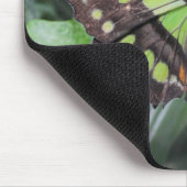Tapis De Souris Stelènes de Siproeta (Coin)