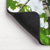 Tapis De Souris Steller's Jay dans le parc national de Yosemite (Coin)