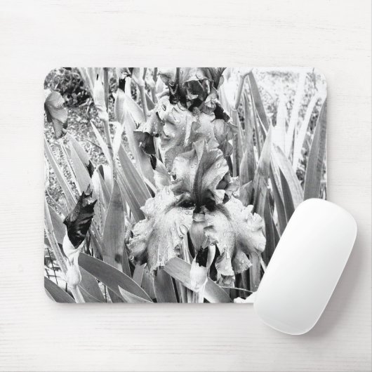 Tapis De Souris Sterling Irises.... (Avec souris)