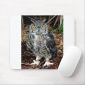 Tapis De Souris Stern Owl (Avec souris)