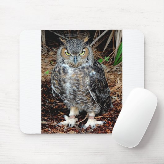 Tapis De Souris Stern Owl (Avec souris)