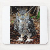Tapis De Souris Stern Owl (Devant)