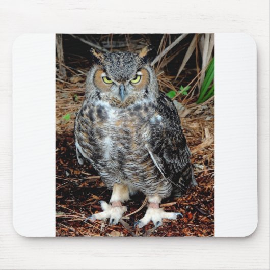 Tapis De Souris Stern Owl (Devant)