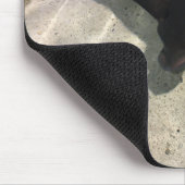 Tapis De Souris Stingray (Coin)