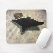 Tapis De Souris Stingray (Avec souris)