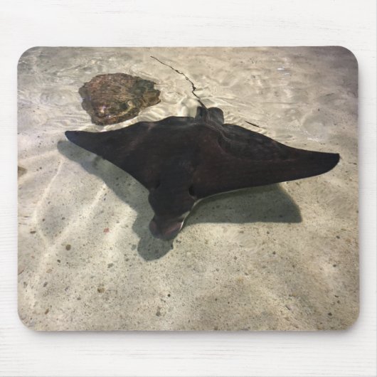Tapis De Souris Stingray (Devant)