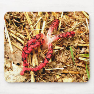 Tapis De Souris Stinkhorn de poulpe