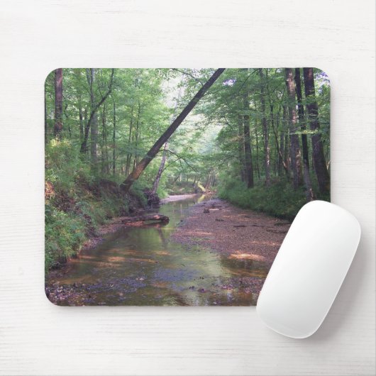 Tapis De Souris Streambed (Avec souris)