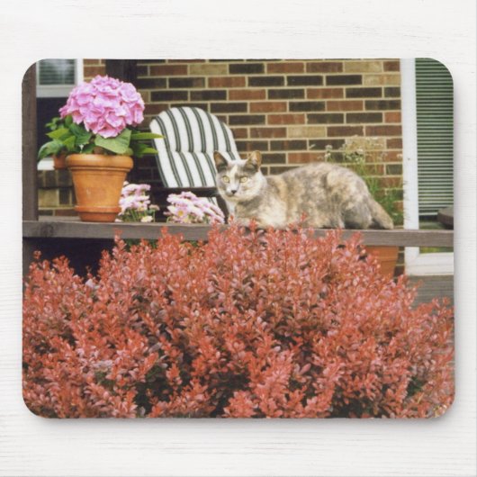 Tapis De Souris Strinka (Devant)