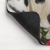 Tapis De Souris studio (Coin)