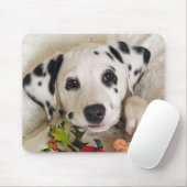 Tapis De Souris studio (Avec souris)