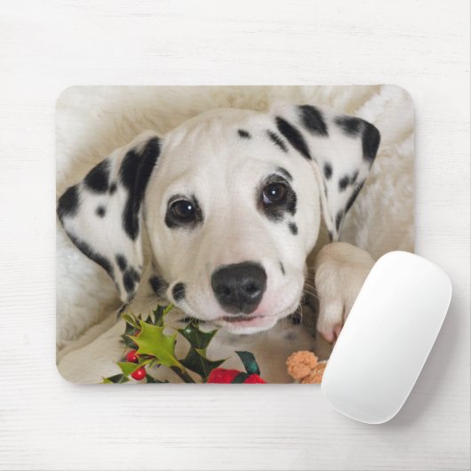 Tapis De Souris studio (Avec souris)