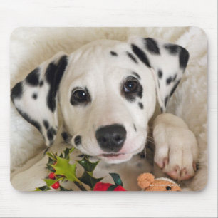 Tapis De Souris studio