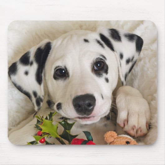 Tapis De Souris studio (Devant)