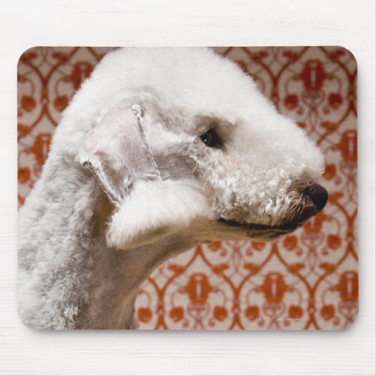 Tapis De Souris Studio photo de Bedlington Terrier (Devant)