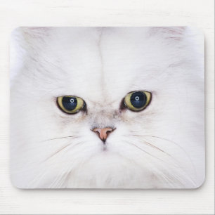 Tapis De Souris Studio tiré du chat persan blanc