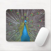 Tapis De Souris Stunning (Avec souris)
