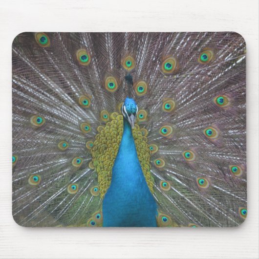 Tapis De Souris Stunning (Devant)