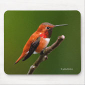 Tapis De Souris Stunning Ruf Hummingbird on the Cherry Tree (Devant)