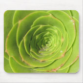Tapis De Souris Succulent (Devant)