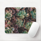 Tapis De Souris Succulent (Avec souris)