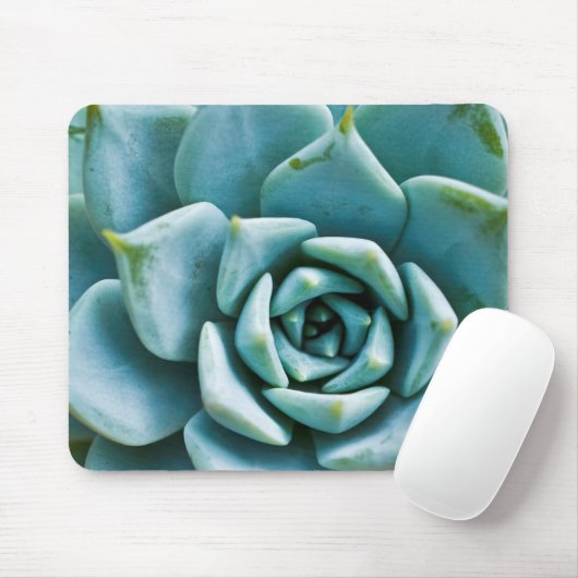 Tapis De Souris Succulent (Avec souris)