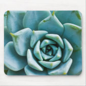 Tapis De Souris Succulent (Devant)