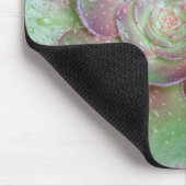 Tapis De Souris Succulent (Coin)