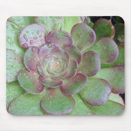 Tapis De Souris Succulent (Devant)