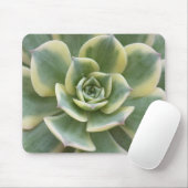 Tapis De Souris Succulent (Avec souris)