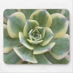 Tapis De Souris Succulent